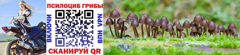 мега как войти Люберцы Галлюциногенные грибы Magic Shrooms наркошоп